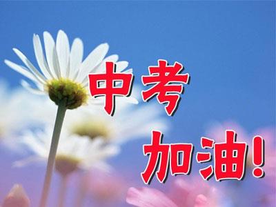 兴安中考家教哪里找？